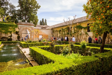 Desde la Costa del Sol: Granada, Alhambra y GeneralifeDesde Marbella en inglés
