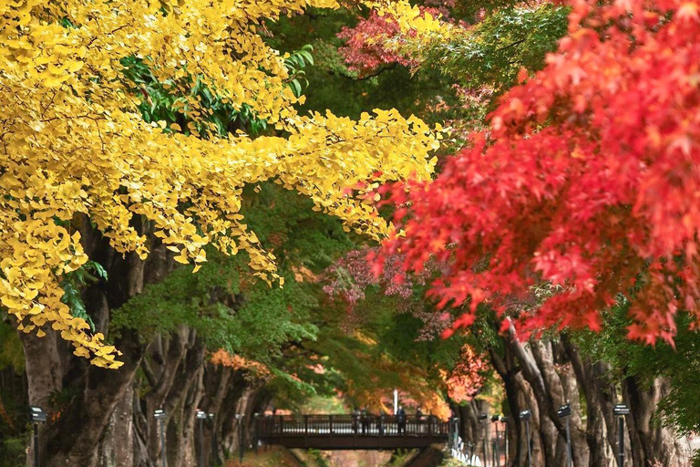 Tóquio: Viagem de 1 dia com visita privada ao Monte Fuji e Hakone