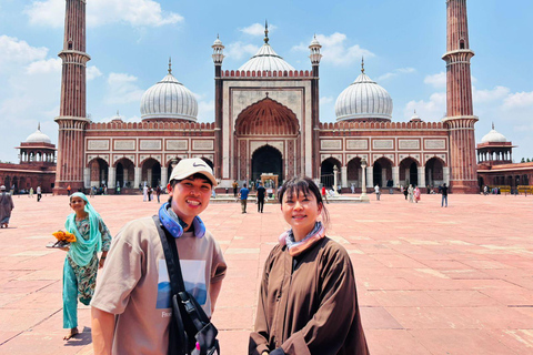 Delhi: tour de la ciudad privado de un día por la Vieja y Nueva DelhiTour de la ciudad de un día por Vieja y Nueva Delhi (coche + guía)