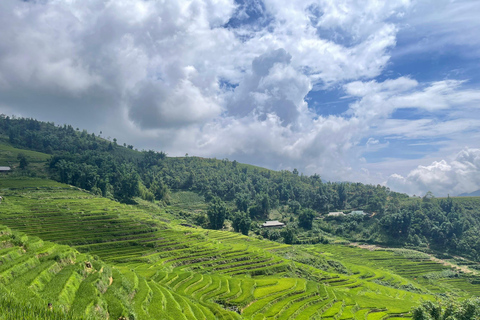 Randonnée dans le village de Red Dao et bain aux herbes