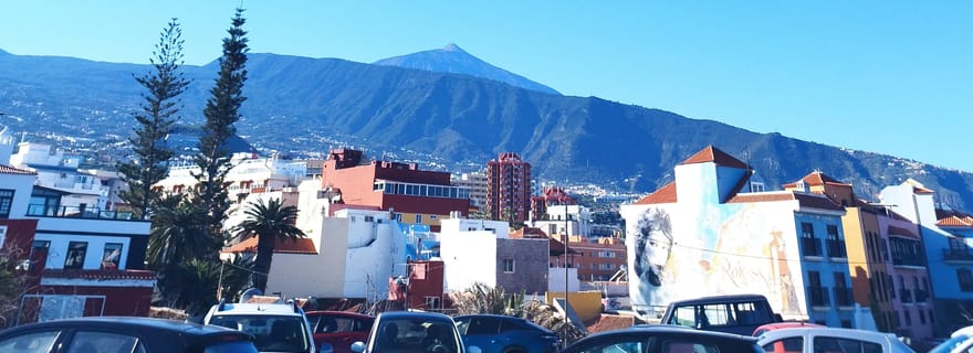 Parcours à pied Icod de los Vinos 1h30