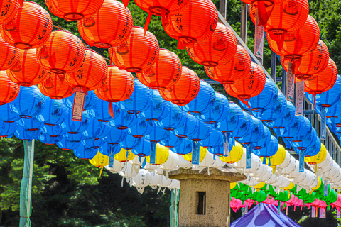 From Busan: Gyeongju UNESCO Sites & Hidden Gems Day Tour