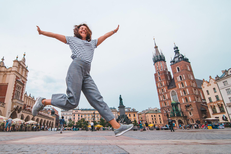 Czartoryski Palace Museum Tickets and Krakow Old Town Tour 3,5-hour: Old Town & Czartoryski Palace Tour