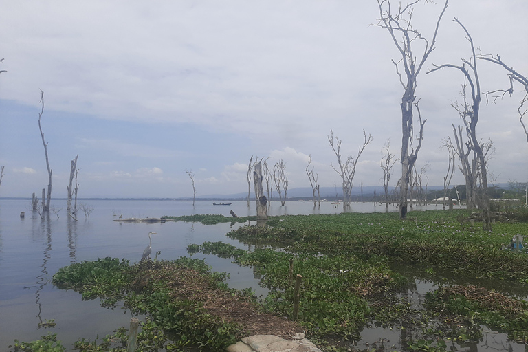 Naivasha: Lago Naivasha e Parco Nazionale Hell's GateTour del lago Naivasha e dell'Hells Gate