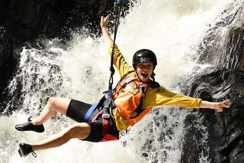 Cairns: Tour d&#039;avventura Crystals &amp; Behana - Canyoning a CairnsEsperienza nella foresta pluviale delle cascate di Cairns Giornata intera avanzata