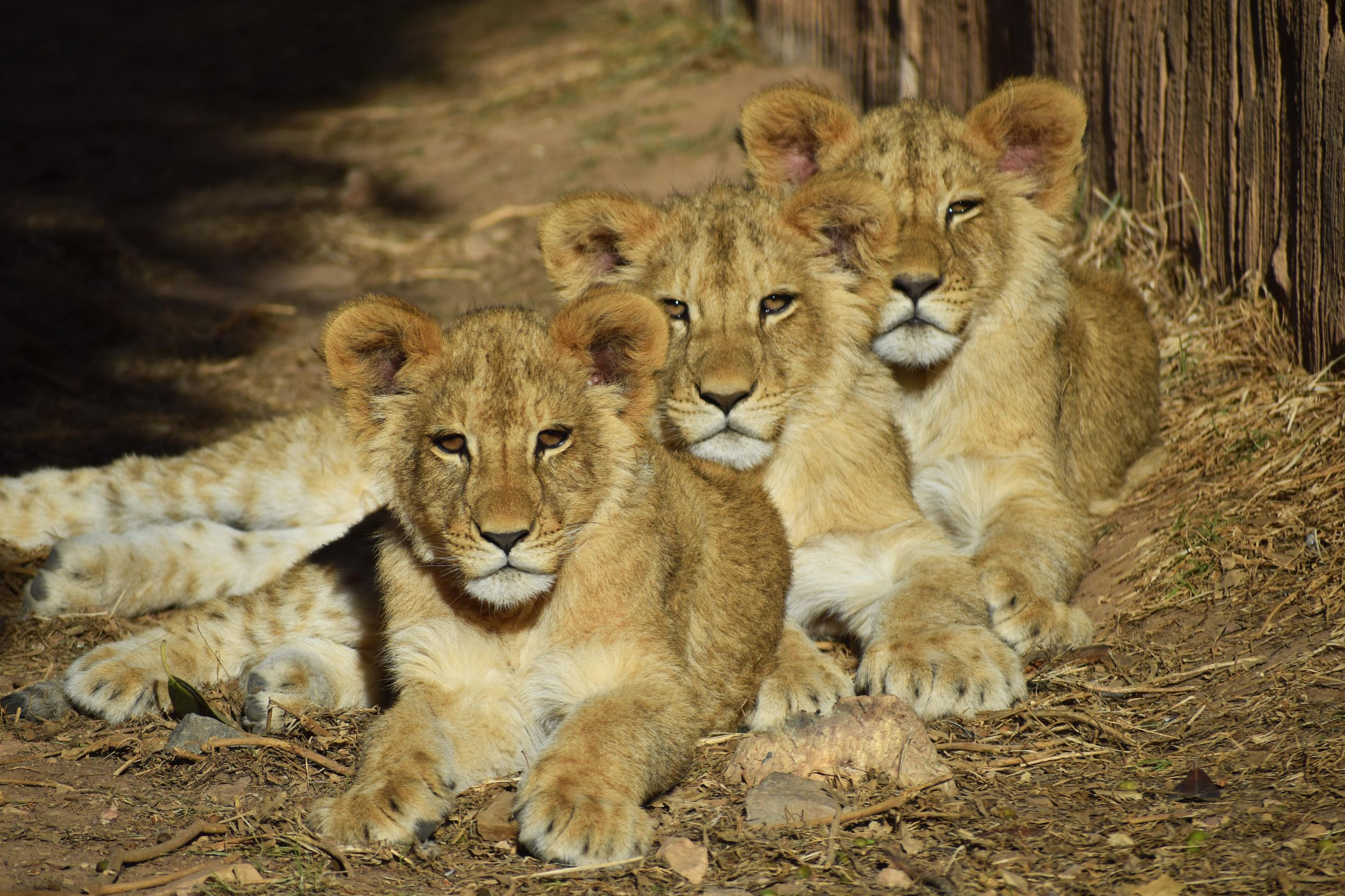Murcia: Terra Natura Murcia Ticket Eintritt