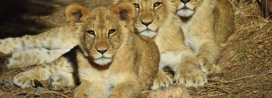 Murcie : Terra Natura Murcia billet d'entrée