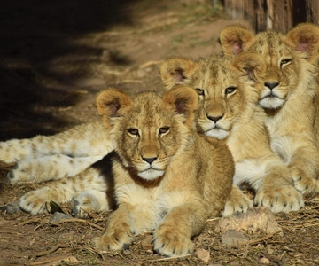 Terra Natura Murcia entrébillet
