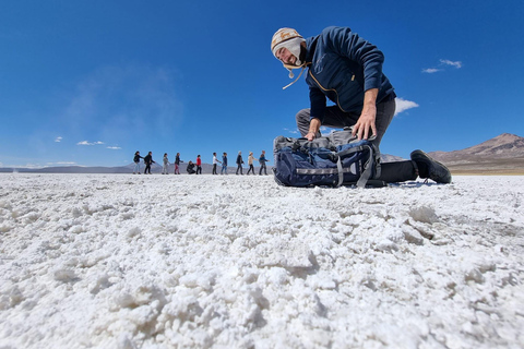 Salinas and Aguada Blanca Nature Reserve From Arequipa: Salinas and Aguada Blanca, Transportation and Lunch Included