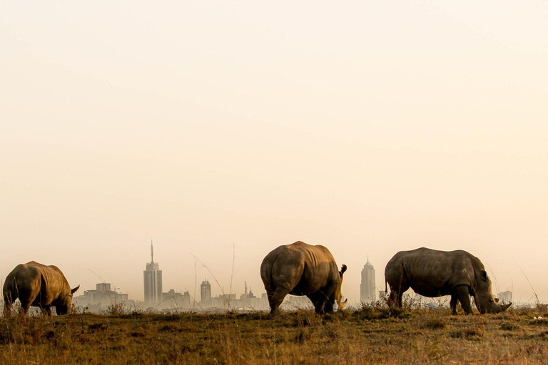 Tour per piccoli gruppi con fotosafari al Parco Nazionale di Nairobi.4 ore di Parco Nazionale di Nairobi