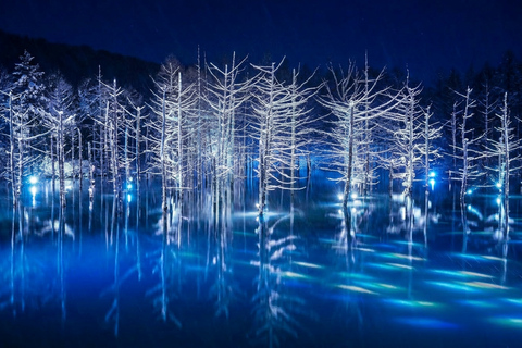 Hokkaido Winter Shikisai no Oka, Blue Pond (Dec.10 - Mar.10) 10:40 am meet at JR Sapporo Station North exit