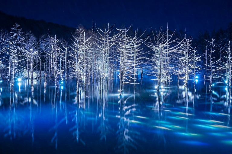 Hokkaido Winter Shikisai no Oka, Blue Pond (Dec.10 - Mar.10) 10:40 am meet at JR Sapporo Station North exit