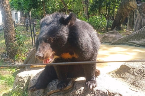 Prywatna 1-dniowa wycieczka do Buddy Kiri i parku zoologicznego Tamao