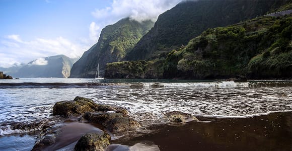 Madeira West Island Full-Day Tour with Fanal Forest