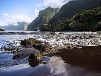 Madeira West Island Full-Day Tour with Fanal Forest