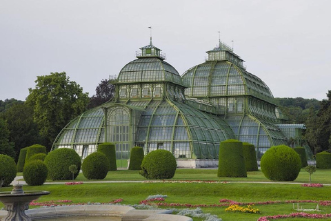 From Bratislava: Vienna Private City Tour & Schönbrunn