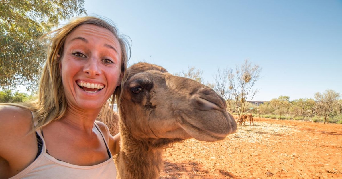 Larnaca's Splendors From Ancient Echoes to Wine GetYourGuide