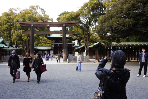 Faits saillants de Tokyo Visite privée avec un guide sous licence