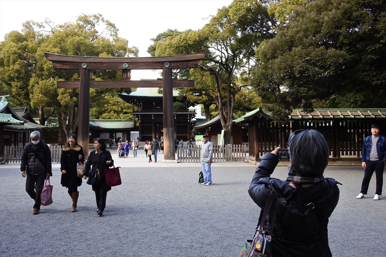 Highlights of Tokyo Private Tour with a Licensed Guide