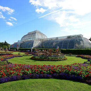 Лондон: входной билет в ботанические сады Кью