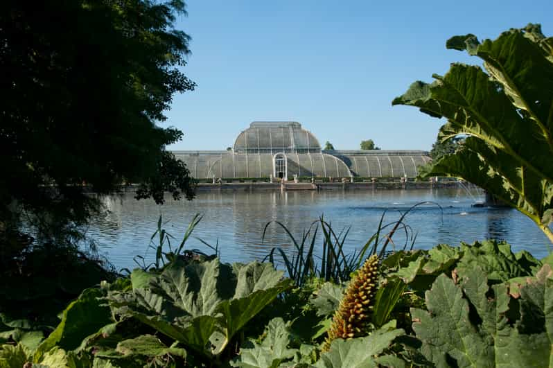 my travel experience kew