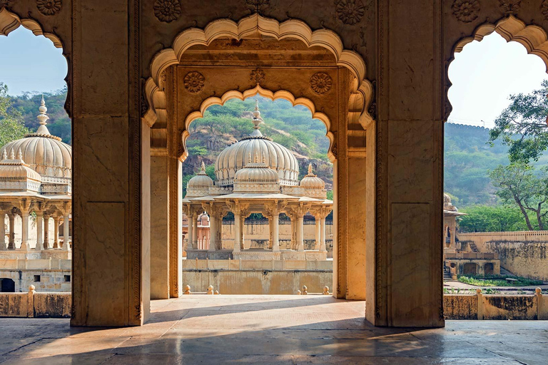 From Delhi: Jaipur Private Day Trip with Hotel Pickup