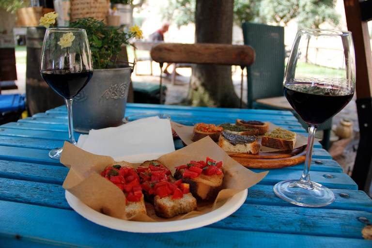 From Girona: Girona, Banyoles, and Besalú with a slow and gastronomic experience