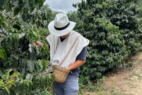 Magiczna wycieczka po farmie kawy z wizytą w mieście Jardín