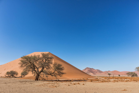 From Marrakech: 2-Day Zagora Desert Tour Camel & Luxury Camp Shared Tour With Luxury Camp