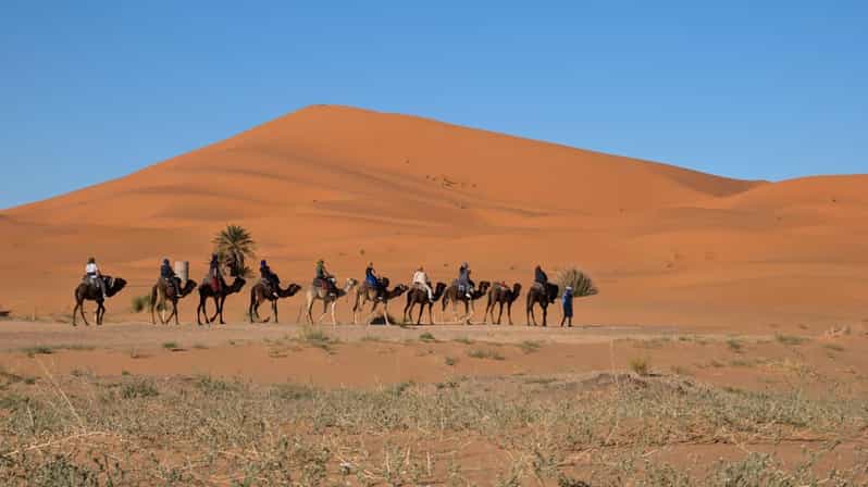Merzouga : une nuit dans le Sahara avec balade en chameau et dîner - dromadaire