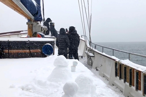 Tromso: crucero en yate por el fiordo congelado con almuerzo