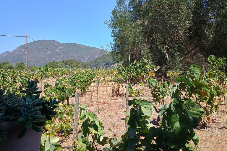 Corfu: South Island Tour with Chalikounas Beach Visit