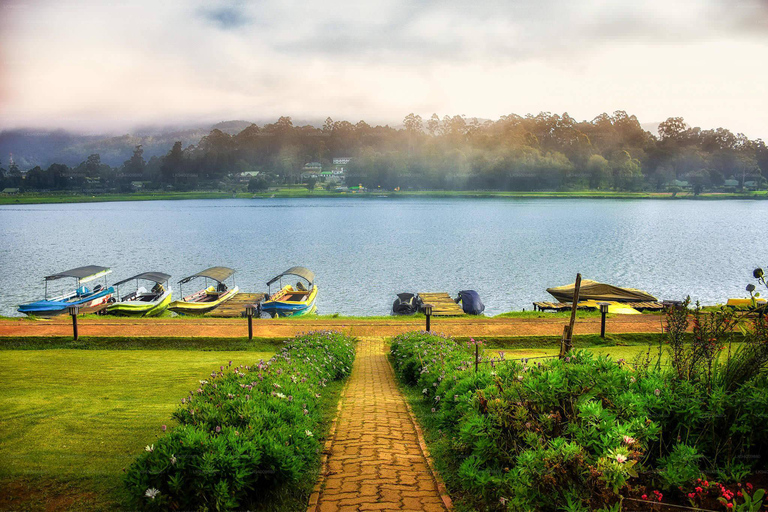 Trasporto da Kandy a Nuwara Eliya con Janaka