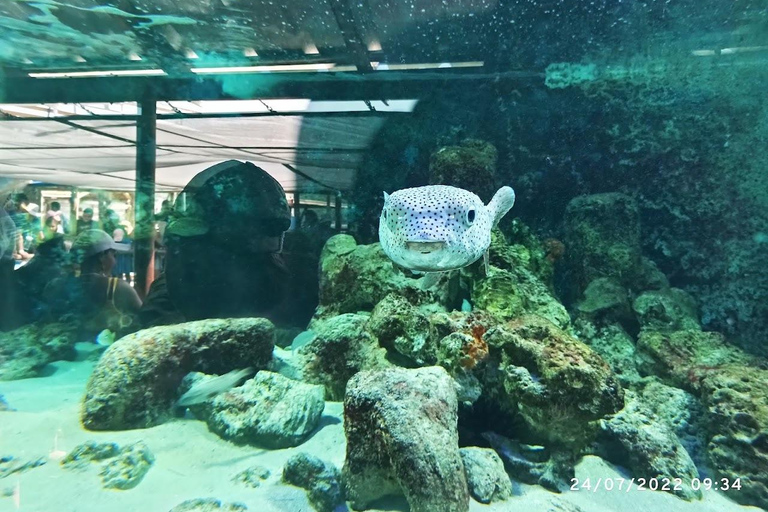 SANTA MARTA: WYCIECZKA PO ZATOCE AKWARIOWEJ I REJS KATAMARANEMSANTA MARTA: BAHIA AQUARIUM I WYCIECZKA RODADERO W KATAMARAN