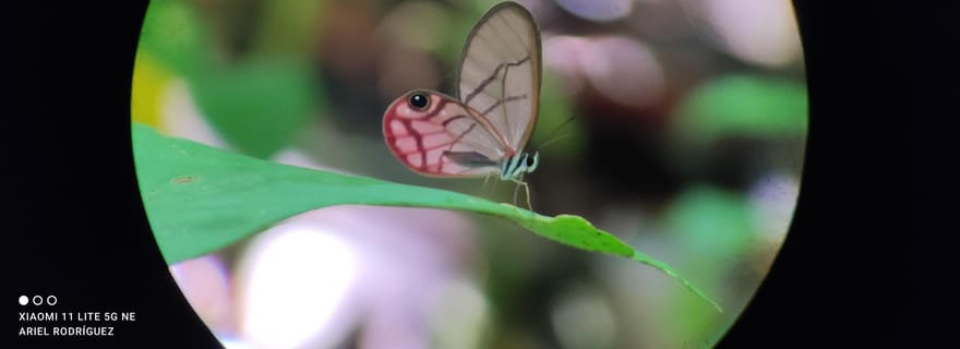 Puerto Viejo Talamanca : Randonnée dans le refuge Gandoca Manzanillo Wild Life.