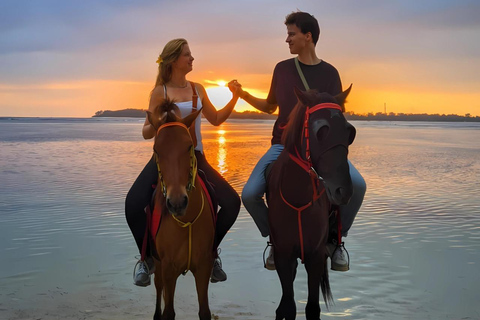 Gili Meno: 1 hora de passeio a cavalo na praia com transfer do hotel