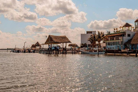 Cancun: Excursão particular a Las Coloradas e Río Lagartos