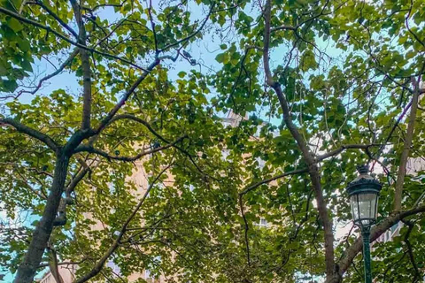 Paris: Emily Filming Locations Walking Tour Upgrade to Private Tour