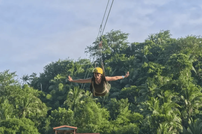 Boracay Whale Shark Watching, ATV, and Zipline with Transfer