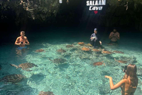 Zanzibar: Sea turtle Swim at Salam cave in Kizimkazi village Zanzibar: Swim with sanctuary Tortoise at salam and transfer