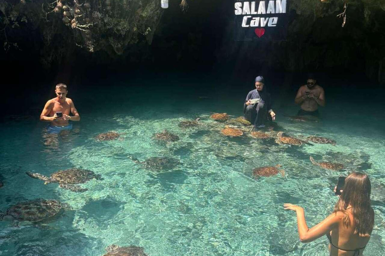 Zanzibar: Sea turtle Swim at Salam cave in Kizimkazi village Zanzibar: Swim with sanctuary Tortoise at salam and transfer