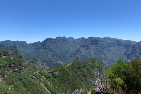 Madeira: tour panoramico privato per un massimo di 4 persone