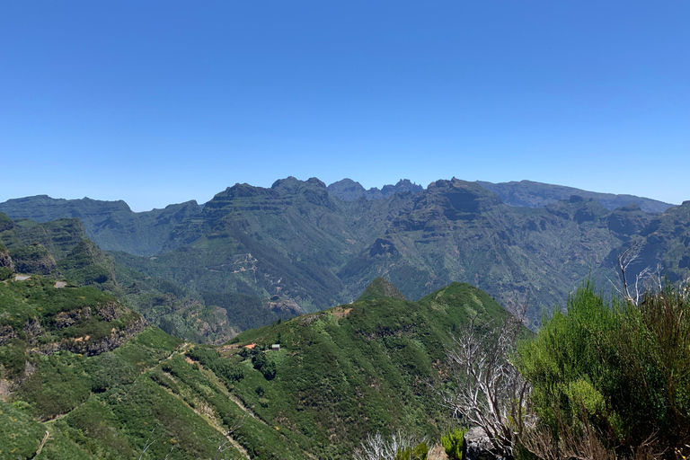 Madeira: Private Sightseeing Tour for 1-2 Persons