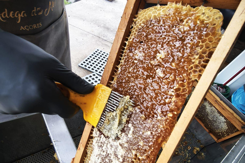 Terceira Island: Full-Day Honey, Mountains & Cheese Tour