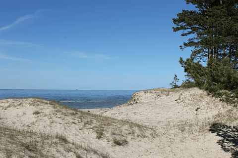 Desde Riga: ¡Excursión de un día a Kolka al estilo Zen!