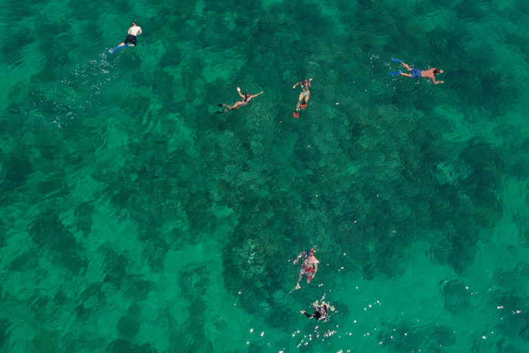 Sandbar, Snorkel, and Sunset Sail with Drinks in Key West