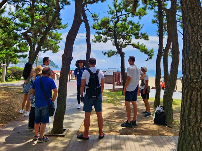 Busan: Haeundae 100-Minute Walking Tour