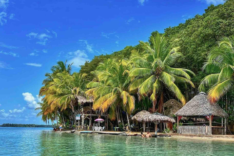 Ilha Colon: Ilha dos Pássaros, Boca del Drago e Praia da Estrela do Mar...