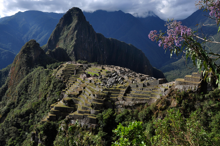 Machu Picchu Day Trip from Cusco Expedition Train by Peru Rail Circuit #3