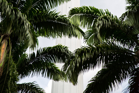 Kuala Lumpur: Tour fotografico di mezza giornata con le torri gemelle PetronasKuala Lumpur: tour fotografico di mezza giornata con le Petronas Twin Towers